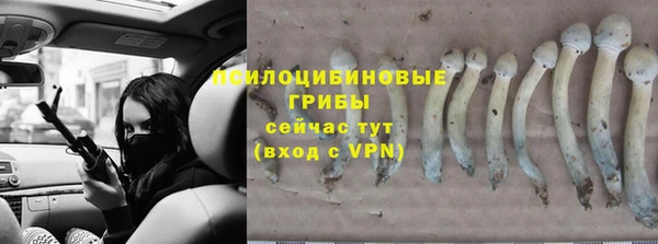 apvp Новосибирск