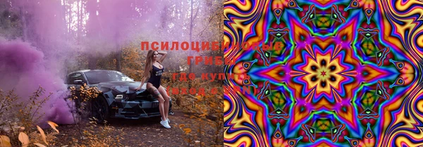 apvp Новосибирск
