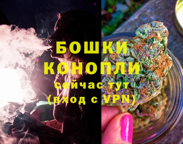 Альфа ПВП Ессентукская