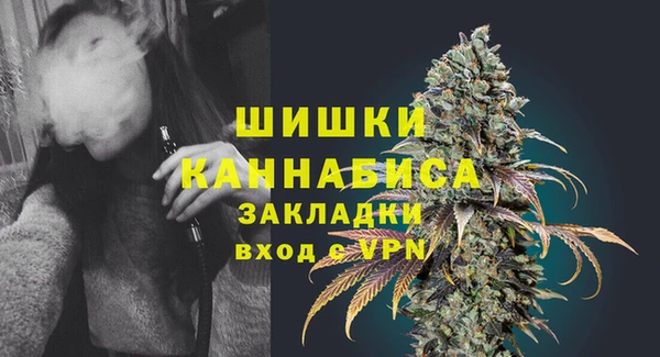 apvp Новосибирск