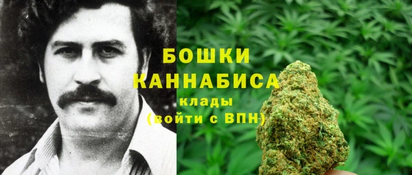 apvp Новосибирск