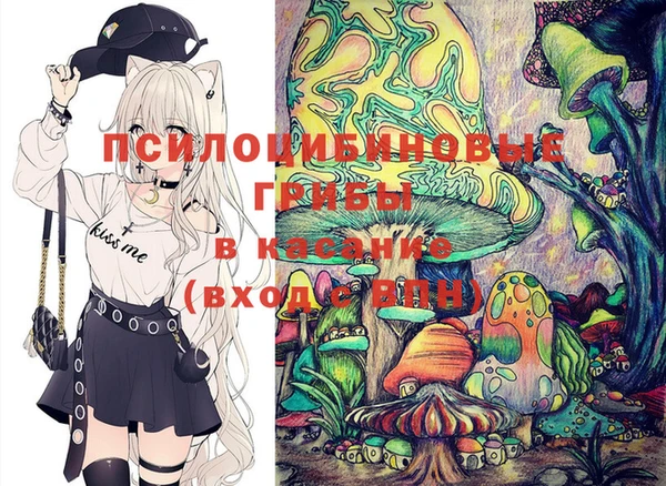 Альфа ПВП Ессентукская